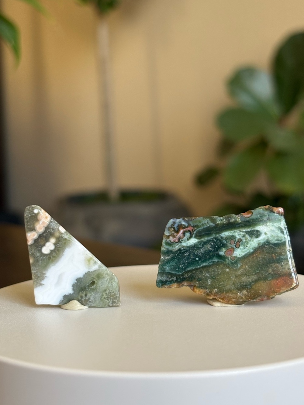 Imperfect* Ocean Jasper Crystal Bundle - Sea Jasper Set - Orbicular Jasper